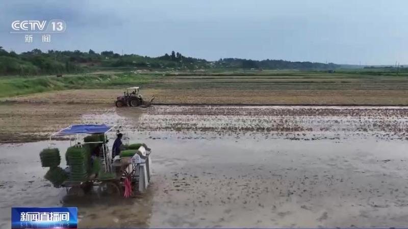 Looking at the Transformation of Small Fields into Large Fields to Improve the Working Conditions of Cultivated Land in Miluo, Hunan Province