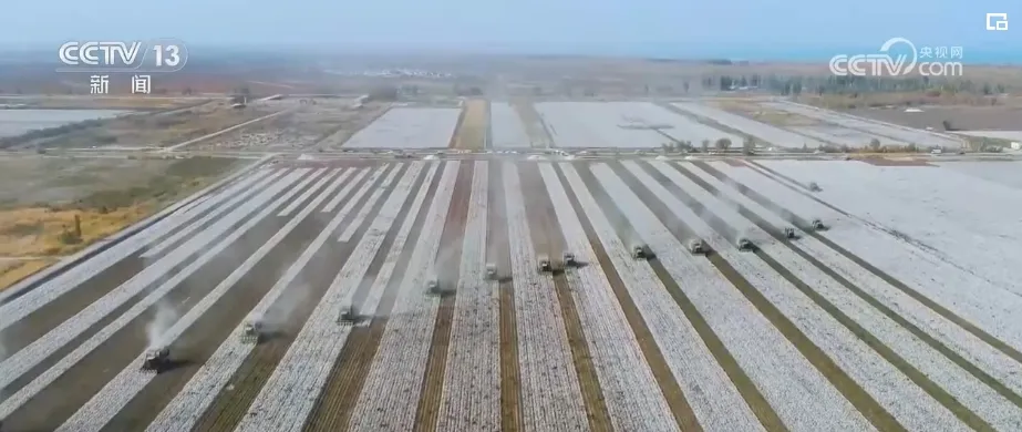 High-quality development in China | Xinjiang achieves coordinated development of photovoltaic "blue", desert "yellow" and ecological "green"