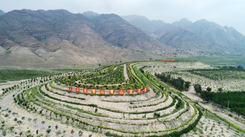 Mirror pilot builds the Green Ecological Barrier of the Motherland Helan Mountain | Forest | investigation | Engineering | UAV | Construction | three North | Ecology | Forest Farm | Xi Jinping
