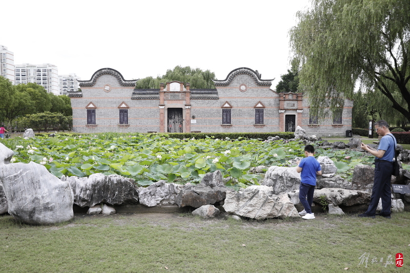 一座走红的江南老宅博物馆,浦东牡丹园牡丹园|浦东