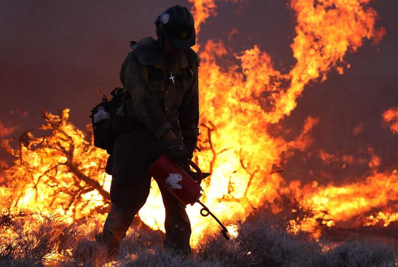 Species diversity may be destroyed, [Looking at the World] High temperatures and strong winds intensify wildfires spreading in California, USA Fire Dragon | Haryana, India | Wildfires