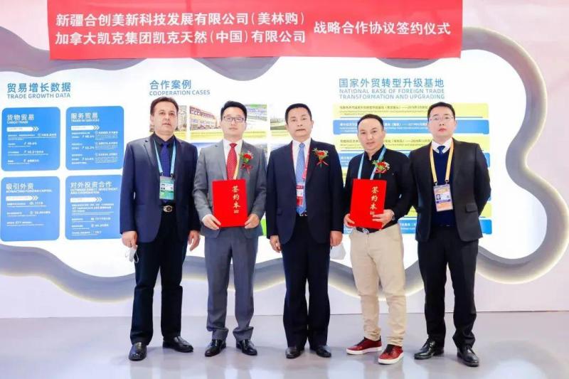 Story of Joining the Expo • Reasons for Choosing to Join the Expo | The Expo makes Xinjiang and the world "within reach" of e-commerce | The Expo | tentacles