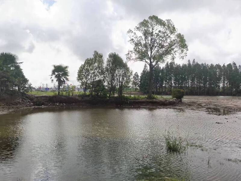 The Chongming Court team helps clear the water and green the banks, often dealing with rice and corn in their work, carrying the national emblem to the village for court sessions. Resources | Environment | Chongming Court