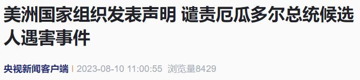 美洲国家组织谴责！,厄瓜多尔总统候选人遇害费尔南多·比利亚维森西奥|总统|候选人