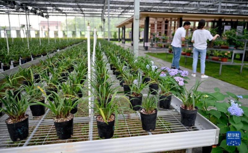 Research Tour of "Ten Million Projects" | Shaoxing: The Road to Green Development in Urban and Rural Areas is Expanding and Widening Blood Pressure | Green | Shaoxing