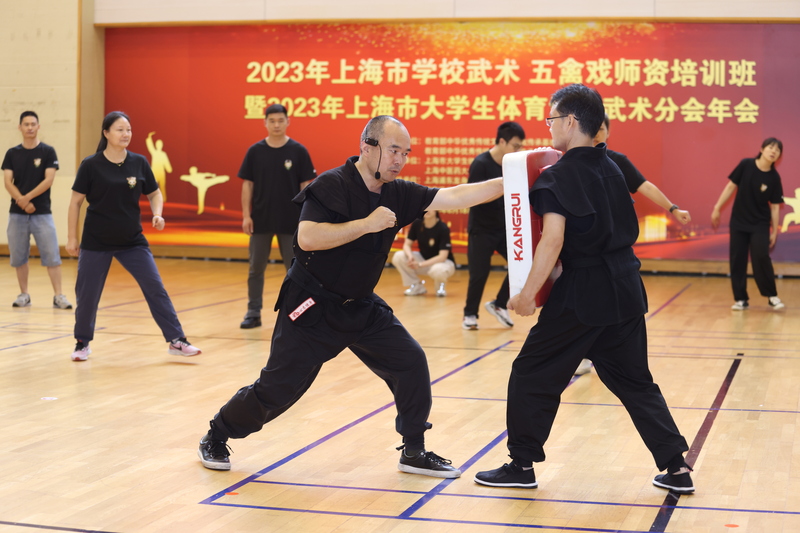 上海七百体育老师带动近六千中小学生习武练拳,学心意拳,操五禽戏,打太极拳传统|武术|上海