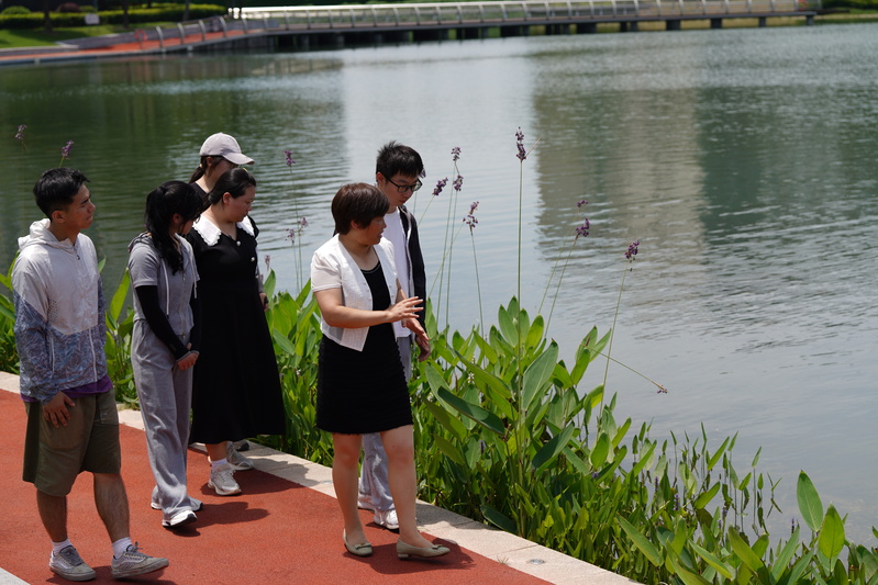 Who has the best and longest lasting water quality, and the most stable water ecological purification system? The female chief designer tells you that the Shanghai Artificial Lake Team | Ecology | Artificial Lake