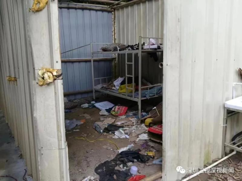 A fruit farmer in Shenzhen has been warned to demolish their own greenhouse in the field? The official responded to the staff from three aspects: lychee and shack