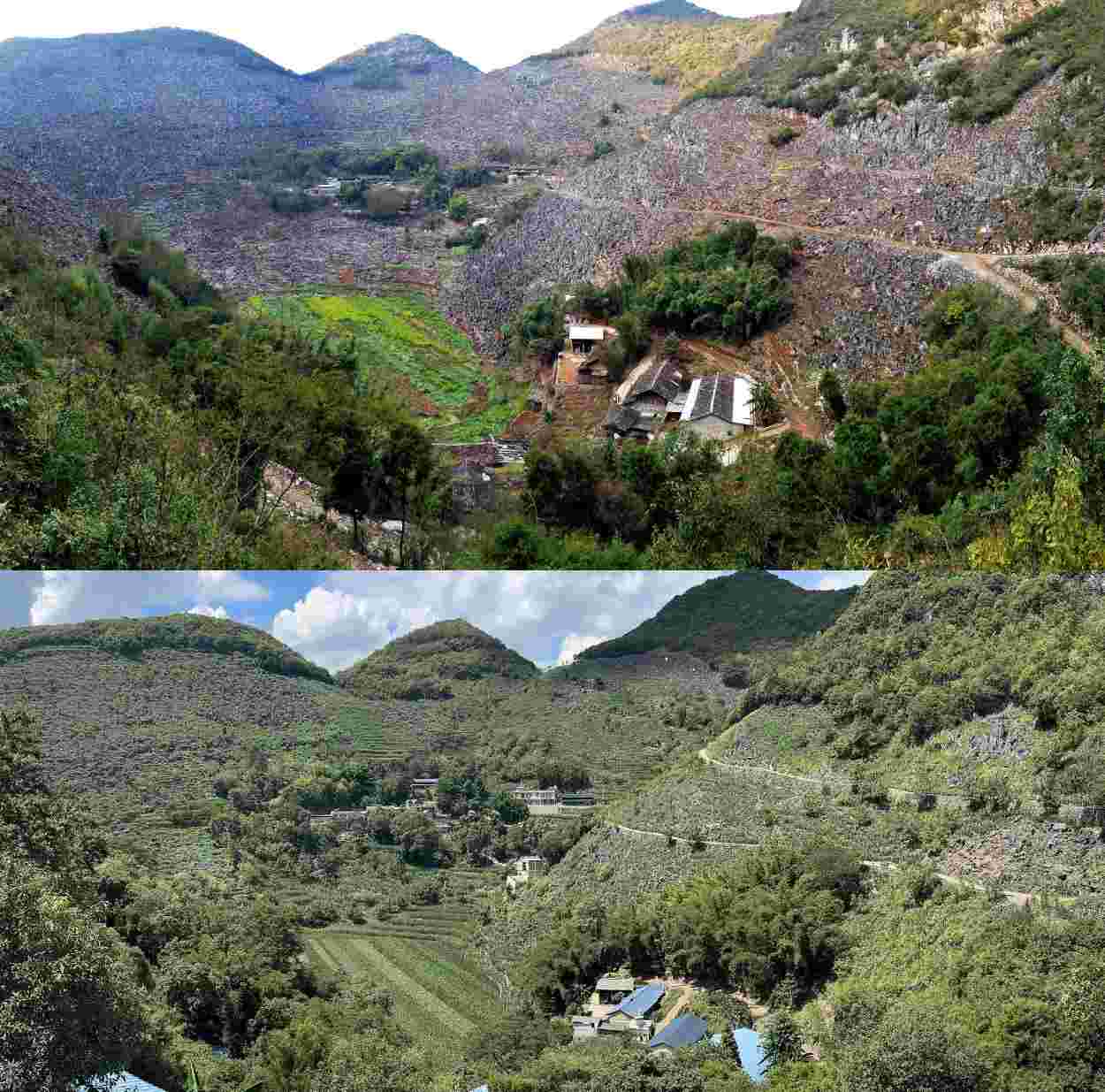 国道之行从雪山奔向大海丨现代版“愚公移山”：生命与石头的搏击左图|照片|生命