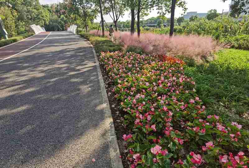 Open sharing makes Shanghai full of greenery, and the 90 year old "little angel" on Hengshan Road has turned to ecology for the first time | Park | Hengshan