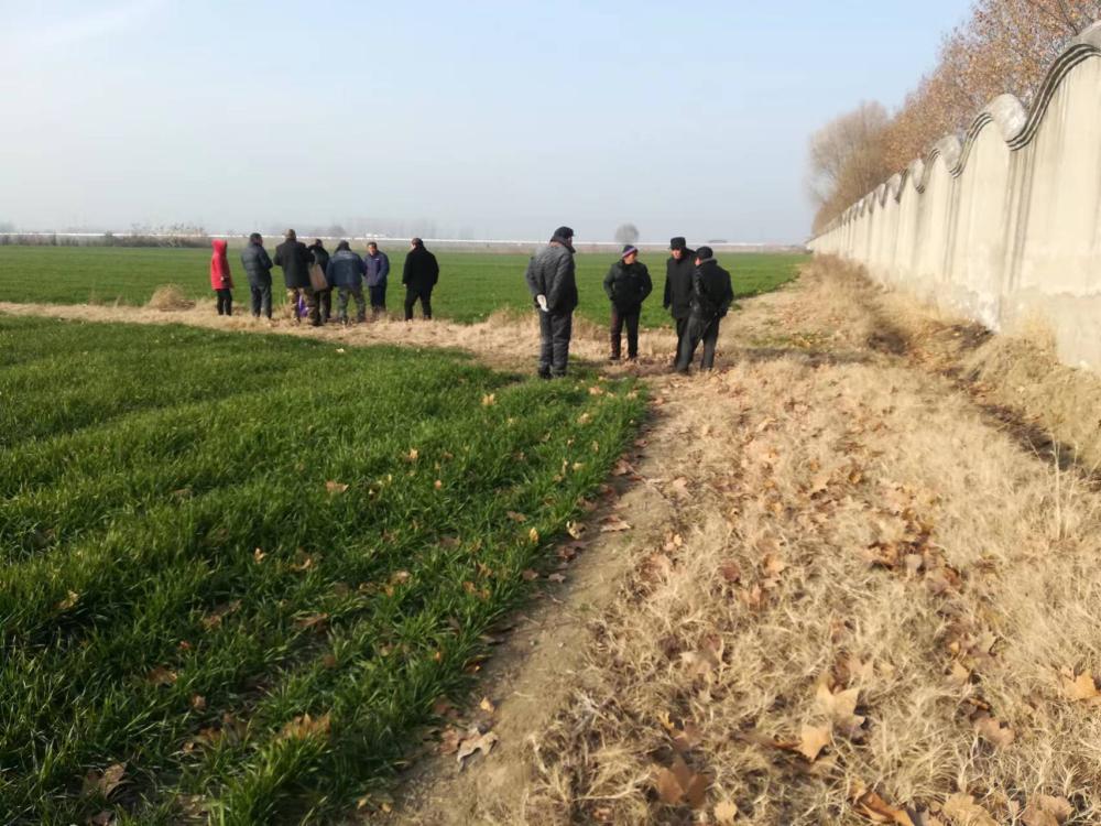 It's still a big field. In some rural areas of Anhui, each village only has one field. Villagers | land | big field