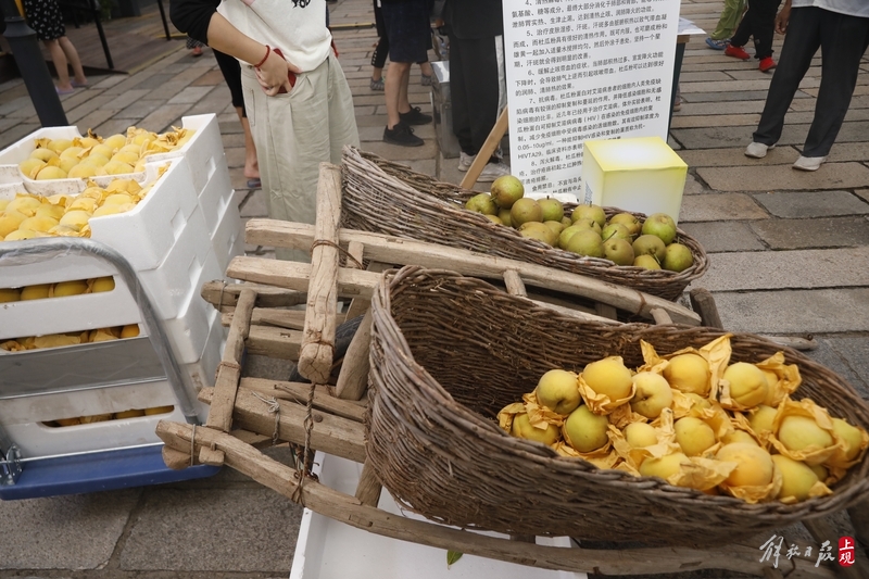 国风集市穿越古今感受烟火人间,青溪雅集再现明代赶集场景特色|文化|古今