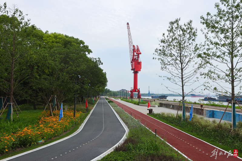 呈现浓郁工业风,黄浦江东岸滨江公共空间南延伸段竣工空间|健身。南延伸|东岸