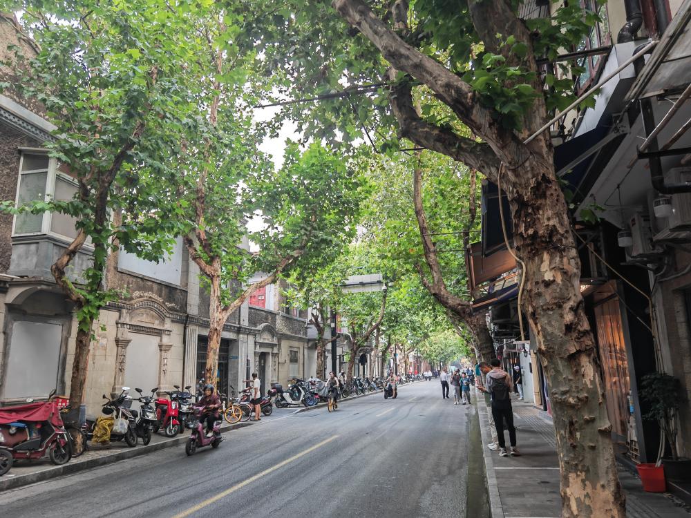 Because "poetry brushing the streets" has become brilliant, a very "light" small road in the center of Shanghai | poetry | road