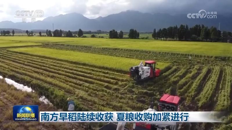 Southern early rice harvest gradually, summer grain procurement intensifies, Anhui | summer grain | early rice