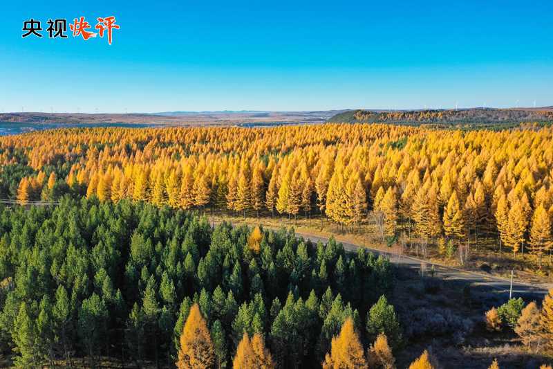 CCTV Quick Review: Striving to Create a New Miracle of China's Desertification Prevention and Control in the New Era | Ecology | Era