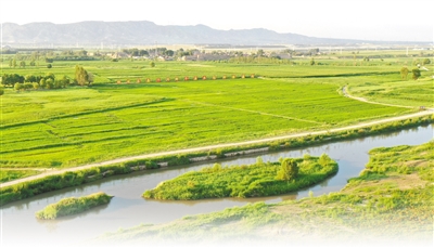 The Integration of Agriculture and Animal Husbandry Development and the Transformation of Saline and Alkaline Land (Beautiful China, Pay Attention to Saline and Alkaline Land Management ④) Riverside | Saline and Alkaline Land | Agriculture and Animal Husbandry