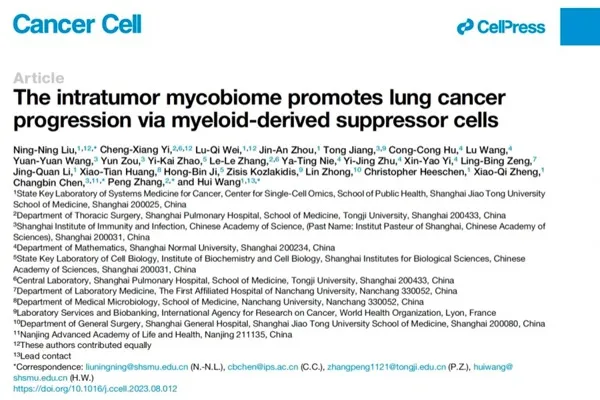 The development of lung cancer may be related to fungi! Jiaotong University School of Medicine collaborates with multiple teams to release major results