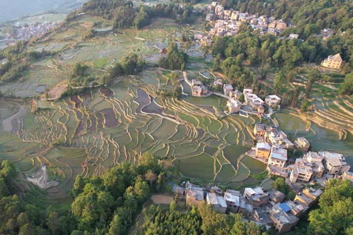 Hani Terraced Fields 10th Anniversary of World Heritage Application, Creating a "Live" Inheritance New Style Hani | Ecology | Style