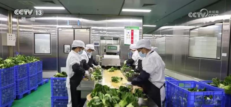 “农田直达餐桌”！冷藏保鲜设施县级覆盖率达70%以上冷链|蔬菜|直达