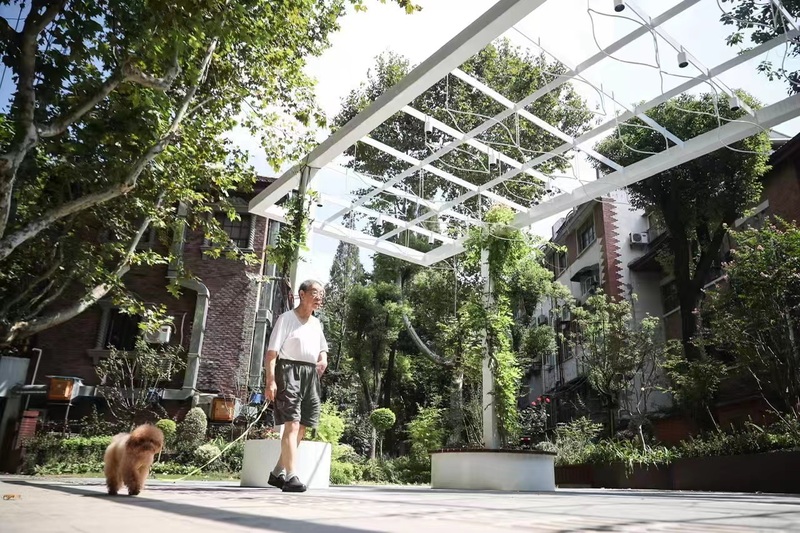 Like poetry and painting... Have these pocket parks in Shanghai "cured" you?, Birds chirping and flowers fragrant garden | Intersection | Pocket