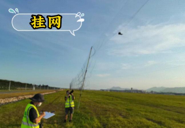 Airport: This is a technical job. Graduates from Zhejiang University are applying for field services and bird repellent services, which has sparked discussions about bird repellent services. | Staff | Graduates