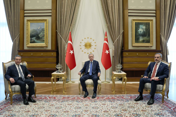 土耳其总统埃尔多安会见王毅埃尔多安|合作|土耳其