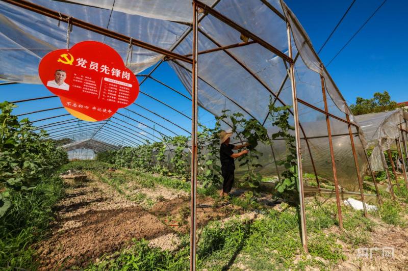 和美“湘”村|邵阳双清：山水间走出“幸福路”产业|乡村|邵阳双清