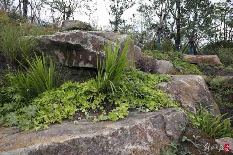 More than 60% of the Twin Towers in the World Expo Cultural Park are covered in green, creating a picturesque World Expo Cultural Park with "stacking mountains and managing water"