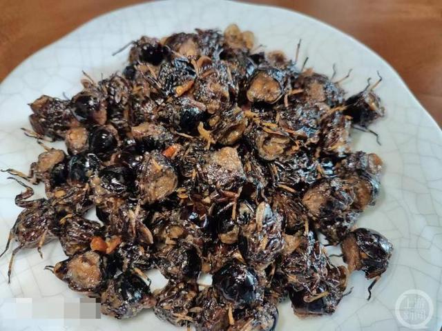 Restaurant owner: During peak season, we sell four to five hundred kilograms a day, which costs 400 yuan per kilogram? Zhejiang Lishui eats cicadas and sells exorbitant vegetation | Video | Restaurant owner