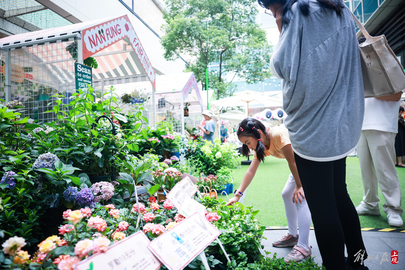 People enjoy the Dragon Boat Festival holiday with parent-child time and rhythmic music, and the May 5th Shopping Festival is full of popularity in shopping malls. Music | The Bund | Popularity