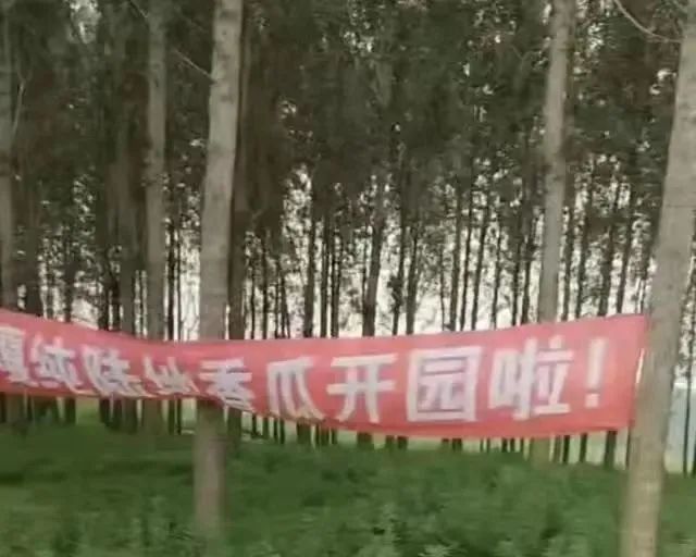 Warm law enforcement and civilized law enforcement, official statement: We will learn from our mistakes, and banner advertisements hanging in the fields of melon farmers will be dismantled. Banners | Advertisements | Statement