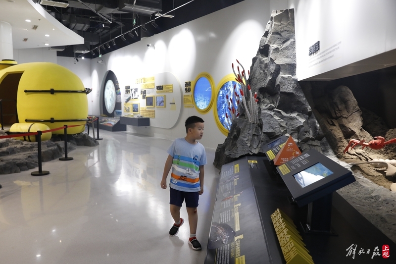 Building an Aquarium in a Shopping Center: Meilong | Aquarium with Over 100 Species of Marine Organisms Bringing Self Flow