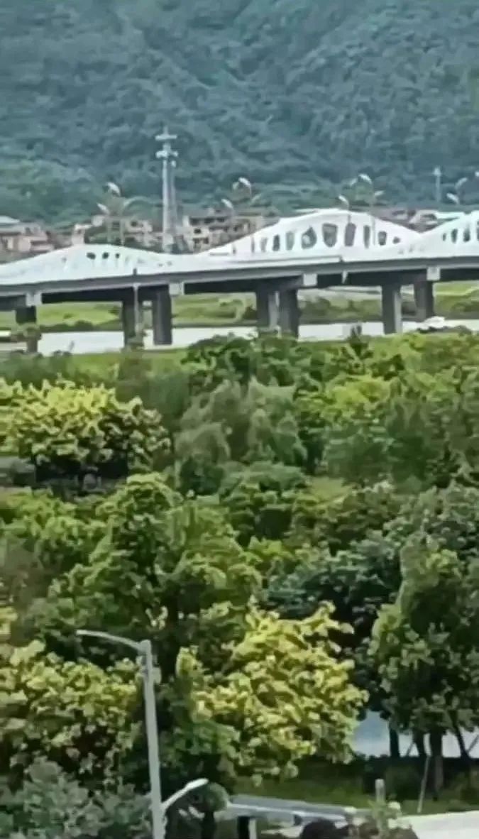 Another Hunan warrior! Jumping off a 20 meter high bridge to rescue a woman who committed suicide