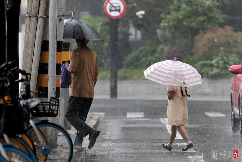 目前申城“双黄”预警高挂！,入梅首场暴雨来袭梅雨|上海|预警