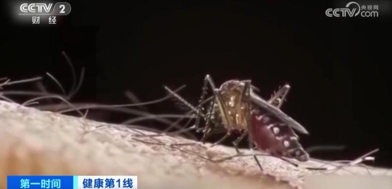 Multiple imported cases of dengue fever have occurred! Guangdong Provincial Center for Disease Control and Prevention urgently reminds disease control | region | dengue fever