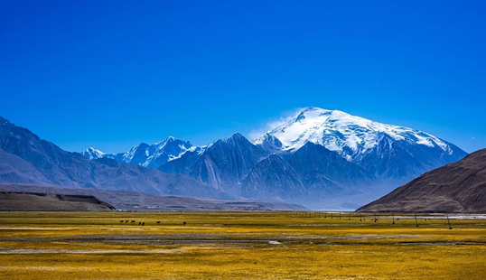 Experience the Charm of Tibetan Intangible Cultural Heritage, Special Live Broadcast of "Mountains and Seas Connected, Shenqing Helps Buy" | Taste Snow Plateau Flavored Lamb | Region | Tibetan