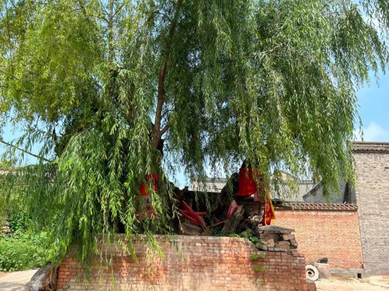 I responded that it was rumored online that a female lawyer was taken away in a burlap bag after visiting the countryside and lost contact with Liu Jiagedong Village | News | Burlap Bag