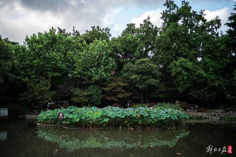 静谧与潮流,百年复兴公园的日与夜隔离栏|上海|百年复兴公园