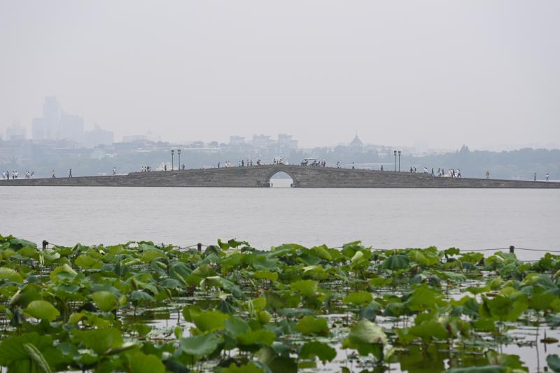 Decoding Cultural Confidence as a City Sample | "Heaven on Earth" Becomes Stronger Today - Decoding Cultural Confidence as a City Sample in Hangzhou | Hangzhou | Sample