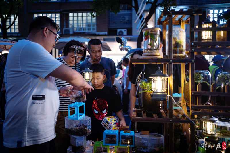 The popularity of the internet famous street with its own leisure consumption has doubled, and the University Road limited time pedestrian street is open for full moon brands | trunk | road