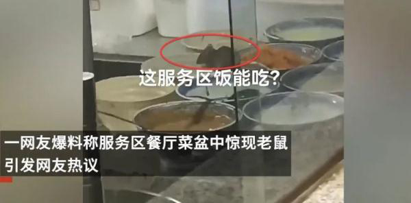 Official: Closed for rectification and filing for investigation, Henan Pingdingshan Service Area's vegetable dish suddenly shows mouse snacks | mouse | stall | rectification | Pingdingshan | supervision | progress | service area