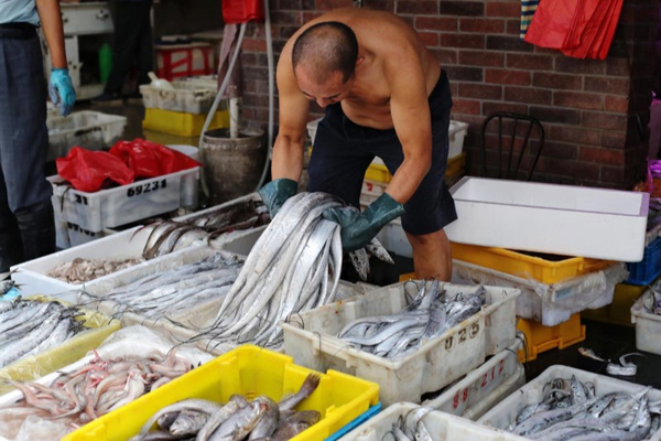 可能要转行,日本核污染水排海海鲜生意反而好了？摊主称不敢想陈水平|海鲜|水排海海鲜